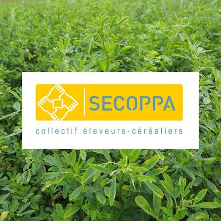 sica secoppa logo